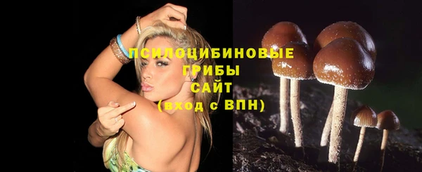 МДМА Верхний Тагил